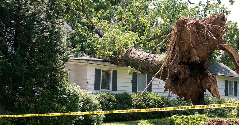 Storm damage tree fallen on roof