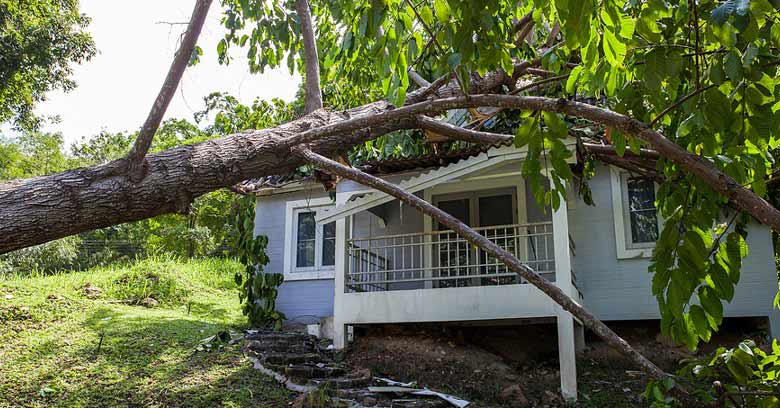 Storm damage tree fallen on house