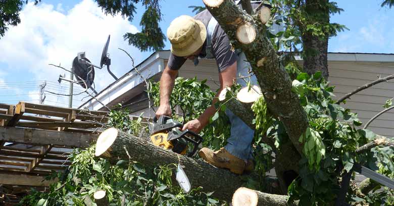 Storm damage clean up 