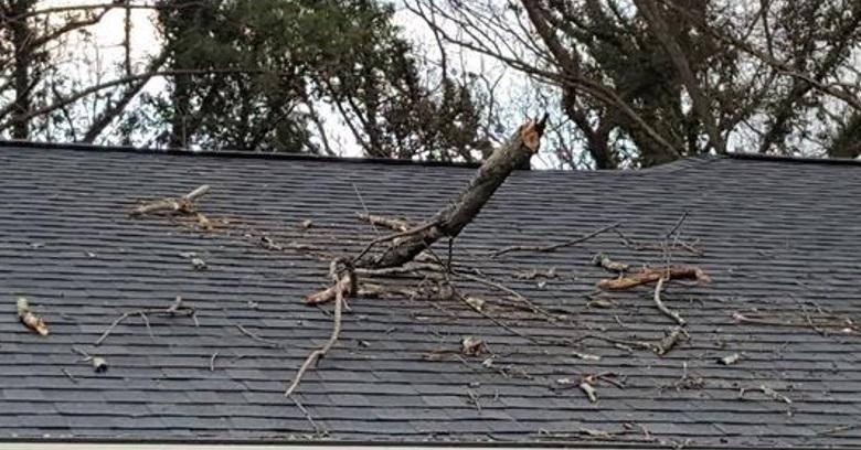 Roof damage from a tree
